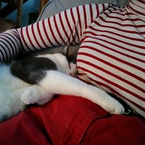 Meet your Posher, Emma